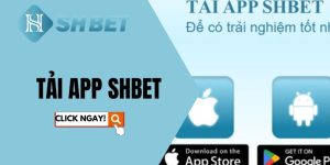 Tải App Shbet